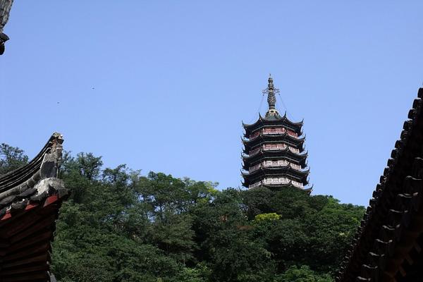 螃蟹是什么生肖，落实国学文化释义