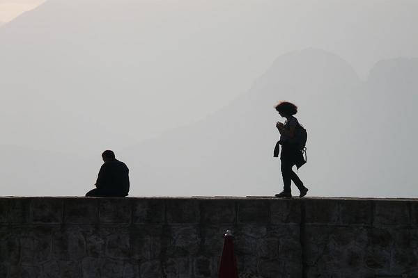 画家是什么生肖，词语最佳释义解释